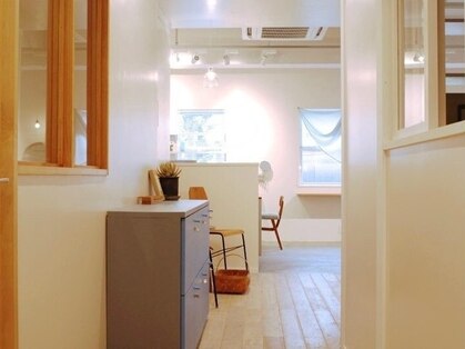 ティコ(tico)の写真