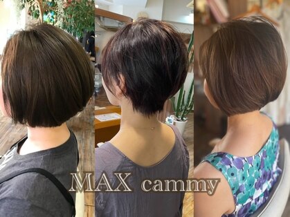 マックスキャミー(MAX cammy)の写真