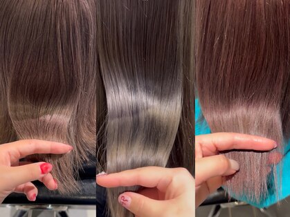 シエル(ciel)の写真