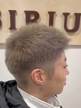 アールシリウス(R,SIRIUS) ブリーチ1回で出来るシルバーベージュ