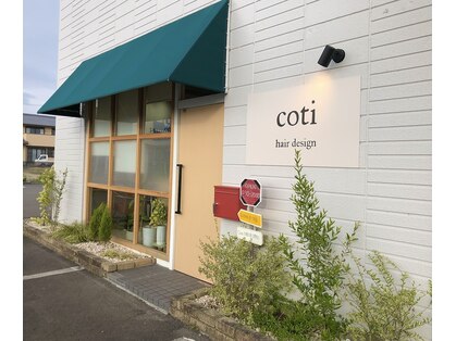 コチ(coti)の写真