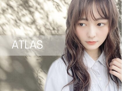 アトラス(ATLAS)の写真