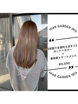 アイリス(IRIS) 【アッシュブラウン】