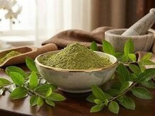 アルファーシステム(alphasystem)