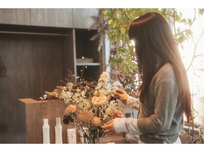 マイグラトリー(MIGRATORY)の写真