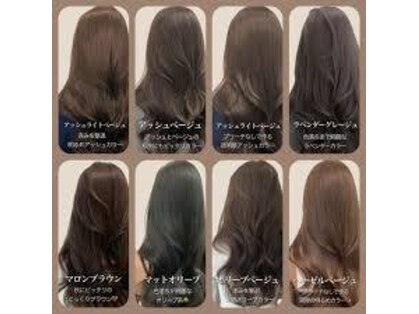 アッシュヘアーの写真