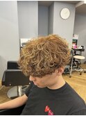 ブラウン波巻きプードル