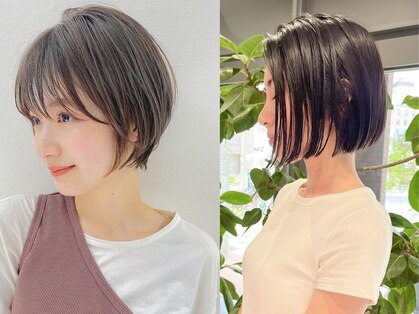 ノエ トトン(noe tton)の写真