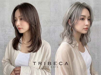 トライベッカ 新柏店(TRIBECA Hair&Spa)の写真