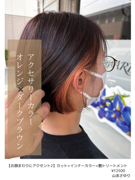 アイリス(IRIS) アクセサリーカラーオレンジ