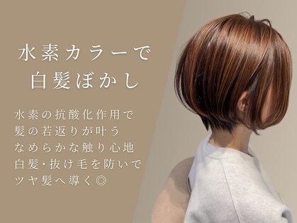 ボニークチュールドットエス(.S)の写真