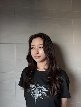 ラミン(LAMIN) ハイレイヤー