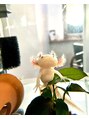 アルカ(arca) うぱちゃんです。よろしくお願いします♪