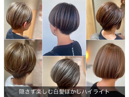 カナモ(Canamo)の写真