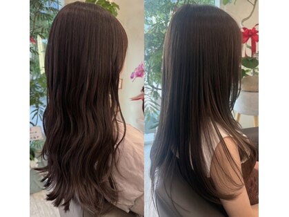 リアン(Lien)の写真