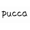 プッカ(pucca)のお店ロゴ