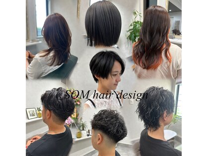 ソム(SOM)の写真