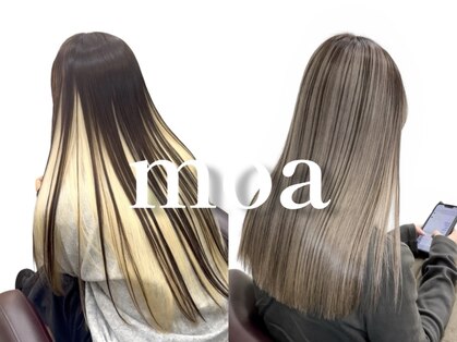 モア(moa)の写真