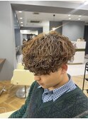 波巻きプードル 
