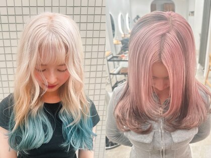 シラフ(SHIRAF)の写真