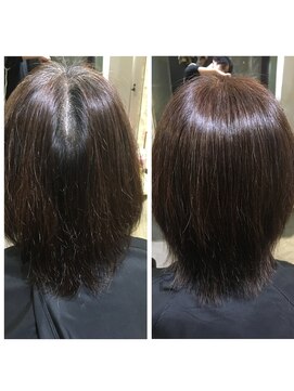 リアリス フレーゼ(Realis Fleuze) 【リアリス・フレーゼ】ヘアリセッター