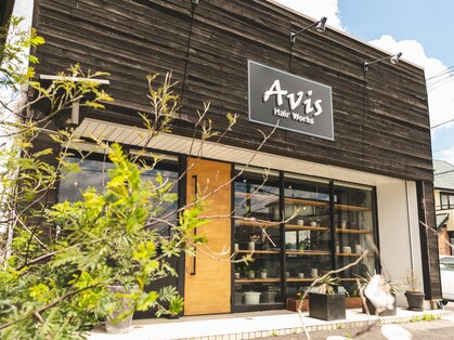 アヴィスヘアワークス(Avis Hair Works)の写真