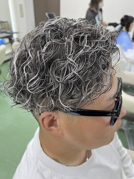 ゼロ(Zero) フェード刈り上げホワイトシルバーメッシュ