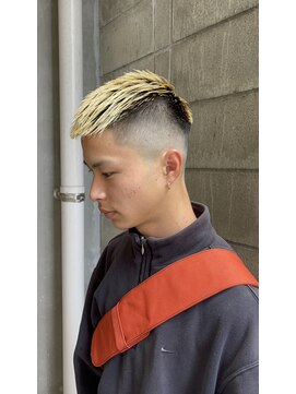 ウェルネス(Wellness) クロップ、スキンフェード、フェード、ツイストスパイラル