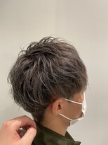 ポラリス(Polaris) メンズヘア シルバーアッシュ