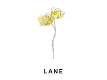 レーン(LANE)