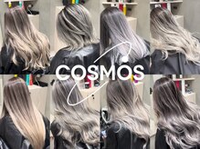 コスモス 町田(COSMOS)