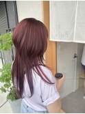 ロングウルフレイヤー/ピンクレッドカラー
