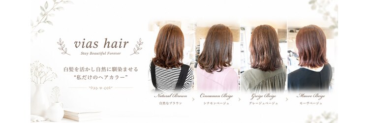 ヴィアスヘアー(vias hair)のサロンヘッダー