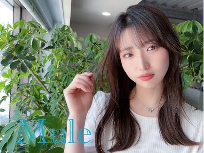 ミュール(Mule)の写真