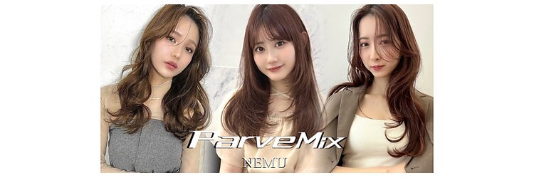 パーヴミックスネム(ParveMix NEMU)のサロンヘッダー
