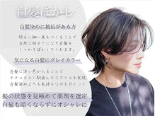 キリエ 豊川稲荷口店(KYLiE)の雰囲気（気になるグレイカラーをオシャレに[白髪ぼかし/白髪染めも人気]）