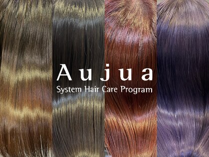 ソルバー(SOLVER)の写真