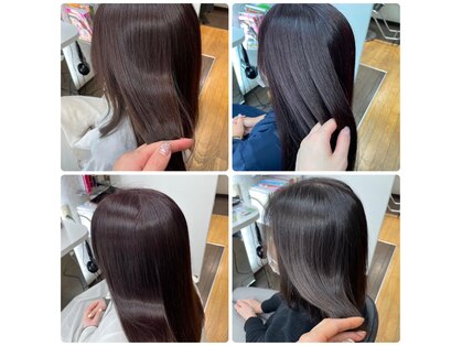 デジレの写真