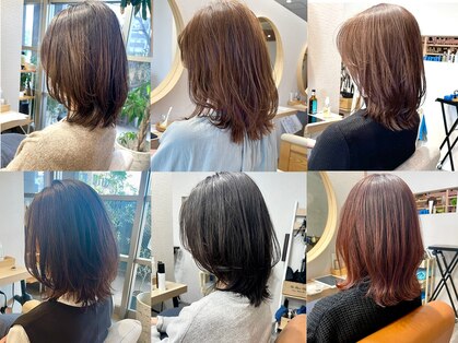 ブランチ(branch)の写真