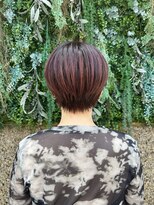 ノーブルヘアー(NOBLE HAIR)&nbsp;レッド×パープル