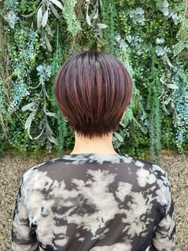 ノーブルヘアー(NOBLE HAIR) レッド×パープル