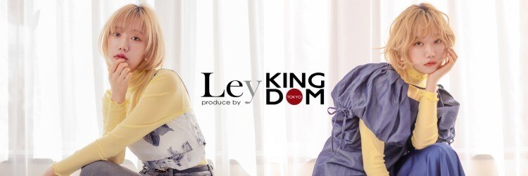 レイバイキングダム(Ley by KINGDOM)のサロンヘッダー