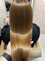 ロアゾブルー(L'oiseau Bleu) ロングヘアー