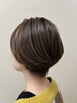 シャンプーボーイ ハイライト