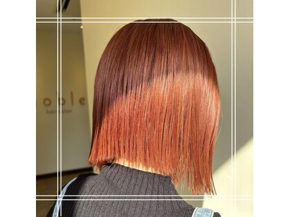 ノーブル(noble)の写真