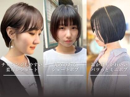 カウチ(Kauti)の写真