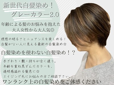 最新白髪染め【グレ-カラ-2.0】エイジング毛にお悩みの方に♪