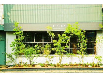 フリー(FREEY)の写真