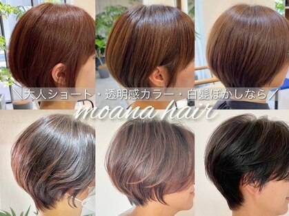 モアナヘア(moana hair)の写真