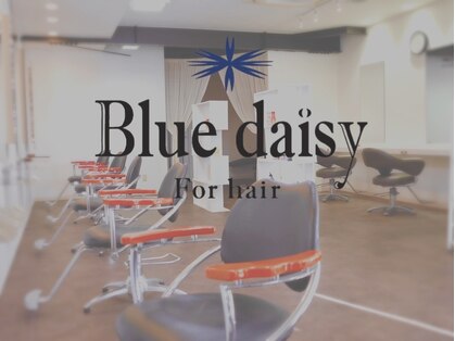 ブルーデイジーフォーヘアー(Blue daisy For hair)の写真